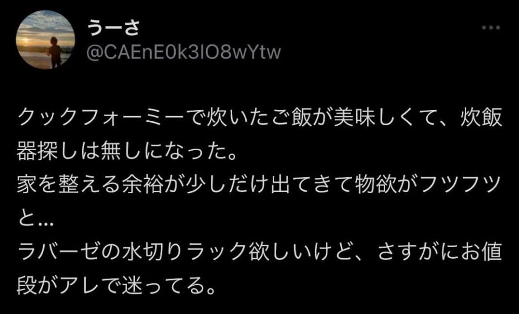 ラバーゼ水切りかごデメリット